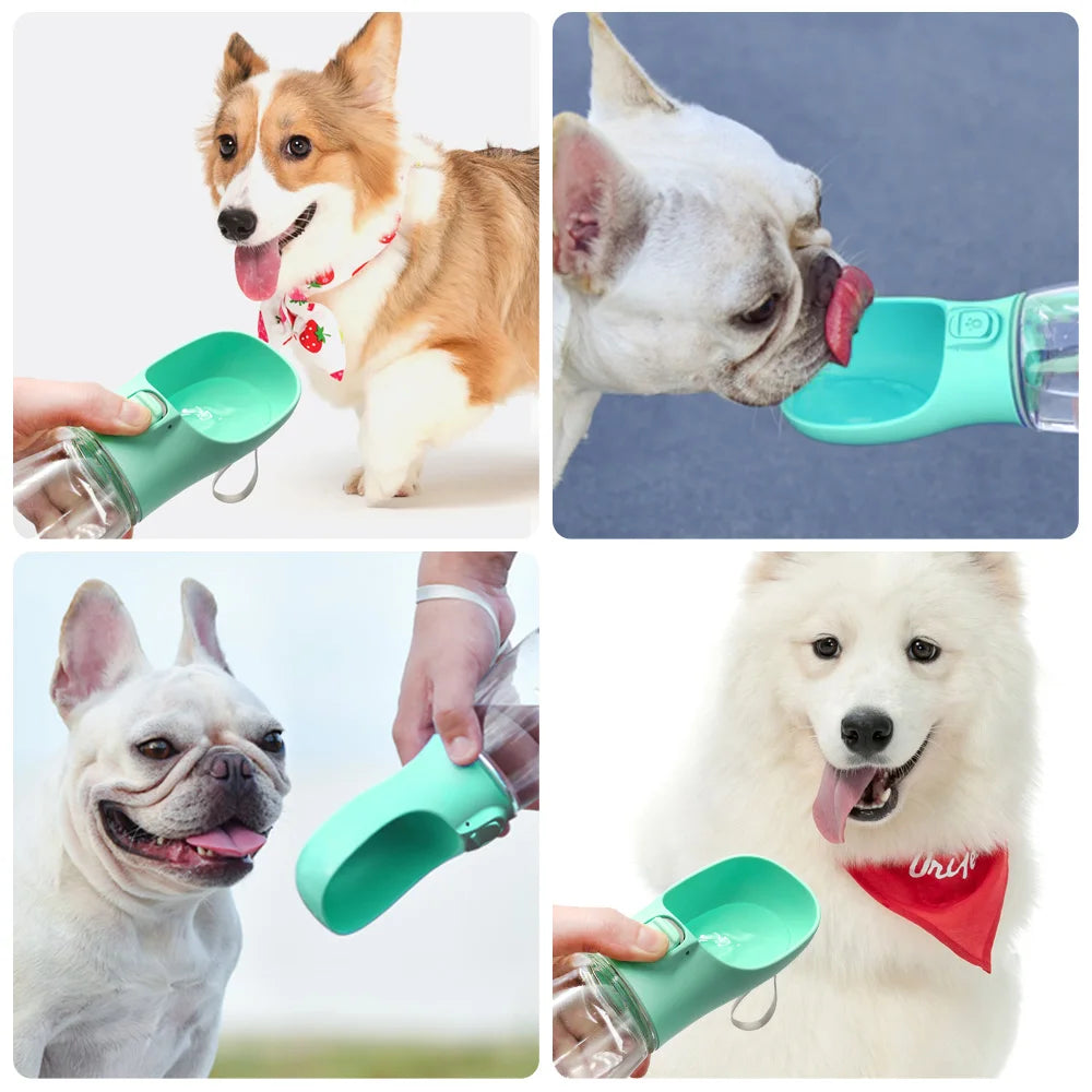 Veeto’s™ Caniquench™ Portable Water Bottle – 550ml