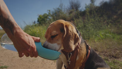 Veeto’s® Dog Water Bottle – 550ml